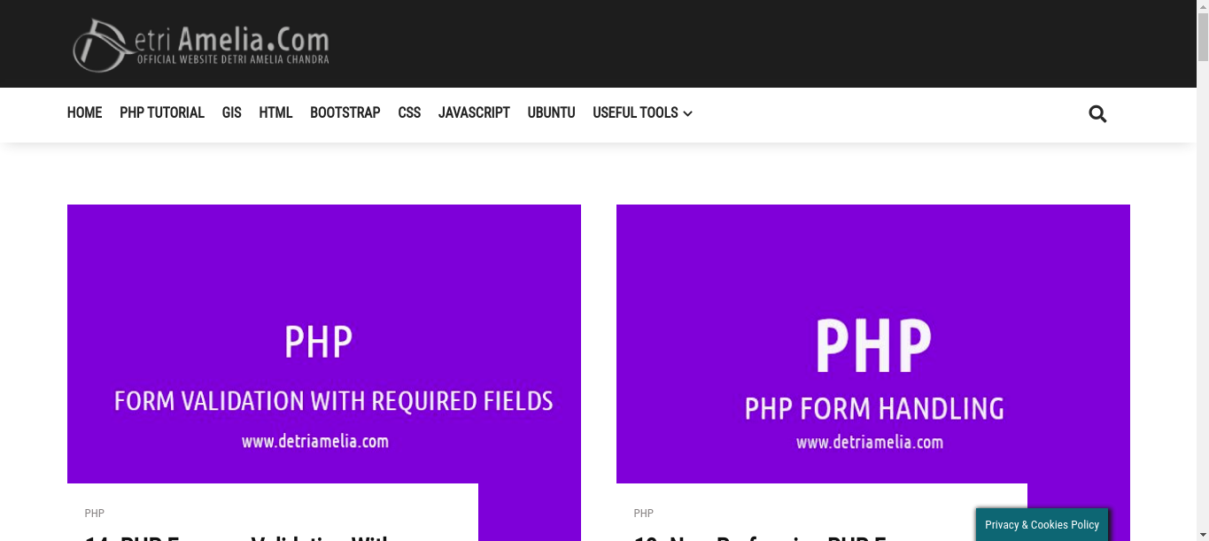 Official Website Detri Amelia Chandra